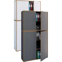 VCM Armoire de bureau en bois Armoire de classement Salia 5 compartiments largeur 100 cm portes battantes
