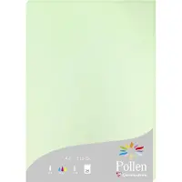Pollen Clairefontaine Pollen - Papier ordinaire - vert - A4 (210 x 297 mm) - 210 g/m² - 25 feuille(s)