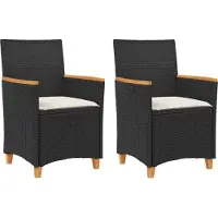 vidaXL Chaises de jardin avec coussins 2 pcs. noir poly rotin massif