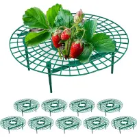 Relaxdays 10x râpes à fraises (30 cm, 30 cm)