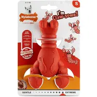 Nylabone Jouet Pour Chien En Filet De Homard à Mâcher Extrême
