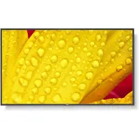 NEC M431-2 43In Uhd 500Cd/Qm