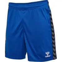 Hummel Pantalon de sport 'AUTHENTIC' bleu cobalt / noir / blanc