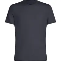 Icebreaker Merino 150 Anatomica Short Sleeve Base Layer Bleu S Homme