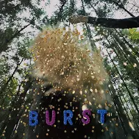 Ginza.se Snarls - Burst [Vinyl] Colored Vinyl, Ltd Ed