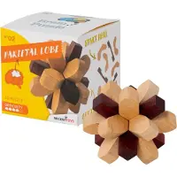 Recent toys Casse-tête NO2 : Lobe pariétal - Casse-tête