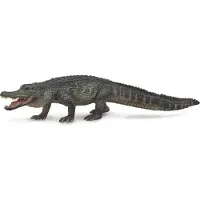 Collecta COLLECTIF Alligator d'Amérique