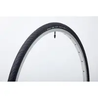 Panaracer Pneu de vélo