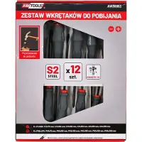 AWTOOLS ZESTAW WKRĘTAKÓW DO POBIJANIA 12szt.