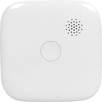 Smartwares FSM-12601 Détecteur de Fumée Wifi