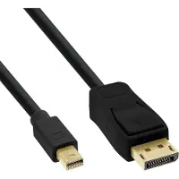 InLine 17131S Câble Mini DisplayPort vers DisplayPort, noir, 1m