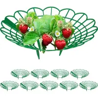 Relaxdays Kit de soutien pour fraises (30 cm, 30 cm)