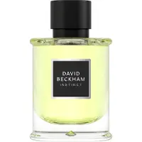 David Beckham Instinct EDP 75 ml M