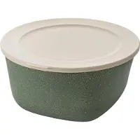 Koziol Boîte avec couvercle, anthracite, contenance : 2 litres