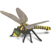 Collecta Libellule