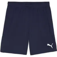 Puma Pantalon Team Goal S0061