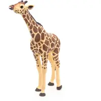 Papo - peint - Figurine - Wild Animal Kingdom - tte leve girafe -50236 -collectible - pour les enfants - adapt aux garons et aux filles - de