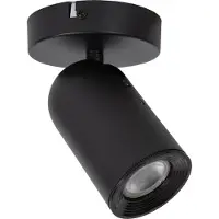 TRIO Punch Spot de Plafond Black