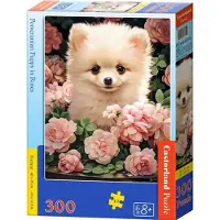 Castor Puzzle Sechs Pomeraniana in Reihen von 60 Stück