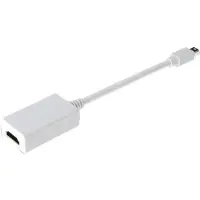 Digitus adaptateur vidéo - DisplayPort / HDMI - 15 cm