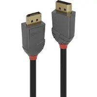 Lindy 1.2 10 M Displayport Cable Doré