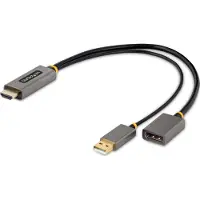StarTech.com .com 128-HDMI-DISPLAYPORT câble vidéo et adaptateur 0,3 m HDMI Type A (Standard) Noir, Gris