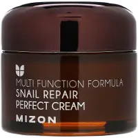Mizon Crème pour le visage au filtrat de sécrétion d'escargot 60% pour les peaux à problèmes (Snail Repair Perfect Cream) 50 ml