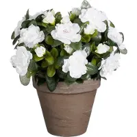 Mica Decorations Plante artificielle - Azalée - Blanc - en pot - 31 cm - fausses plantes