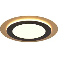 TRIO Plafonnier LED rond avec télécommande MORGAN noir et or - nuances dorées 42 W Nuances de blanc 5600 lm métal dim. : 45 x 45 x 45 cm IP20