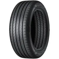 Goodyear So car-tyres EfficientGrip Performance 2 ( 205/55 R19 97V XL )