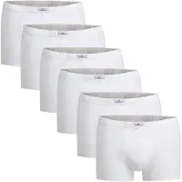 Götzburg Boxers blanc