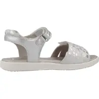 Garvalin 242424g Couleur Argent