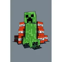 Disney Minecraft Fleecedecke TNT Kuscheldecke 100 x 150 cm weiche Decke