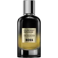 HUGO BOSS The Collection Exuberant Geranium Parfum Limited edition 100 ml