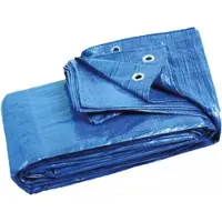 Benson Gewebeplane 3 x 4 m blau profi