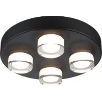 Paulmann Selection Bathroom Applique/plafonnier Kame