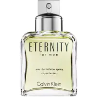 Calvin Klein Eternity Men Eau de Toilette 100 ml
