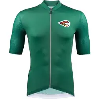 Cinelli Tempo Mesh Short Sleeve Jersey Vert L Homme