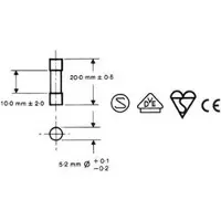 Perel FUSIBLE 5 x 20mm RETARDE 0.315A (10 pcs/boîte) (0.32 A)