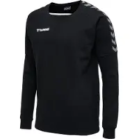 Hummel Sweat de sport 'Authentic' rouge / noir / blanc