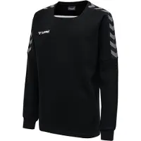 Hummel Sweat de sport 'Authentic' | 152 | boy