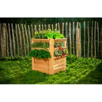 Westmann Jardinière surélevée et bac à herbes aromatiques Premium L en bois de mélèze, 66 x 73 cm