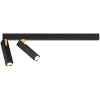 Wever & Ducre Mick Lampe Murale/Plafond Mick 2.0 | Black Matt|Gold | 2700 K