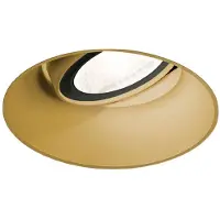 Wever & Ducre Deep Adjust Trimless 1.0 PAR16 Projecteur Gold