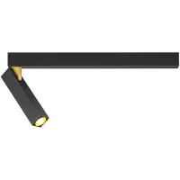 Wever & Ducre Mick Lampe Murale/Plafond Mick 1.0 | Black Matt|Gold | 2700 K