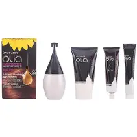 Garnier Colorations Garnier Olia Coloration Permanente 5.3 Châtain Clair Doré Coffret femme || Taille Unique