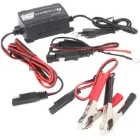 EverActive Chargeur de batterie de voiture CBC1 6V/12V