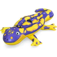 Bestway Matelas Gonflable Pour Piscine 41502 Salamander 191x119cm