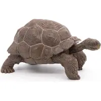 Papo Figurine de jeu Tortue géante des Galápagos