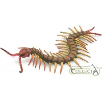 Collecta Mille-pattes - (L)
